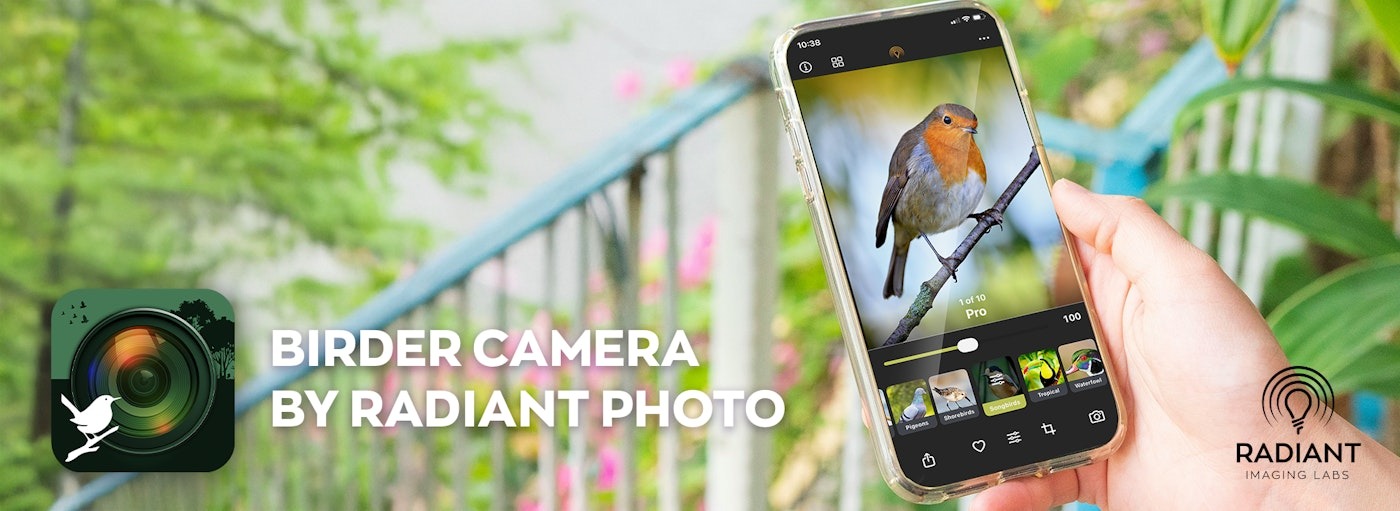Banner_Birder Camera