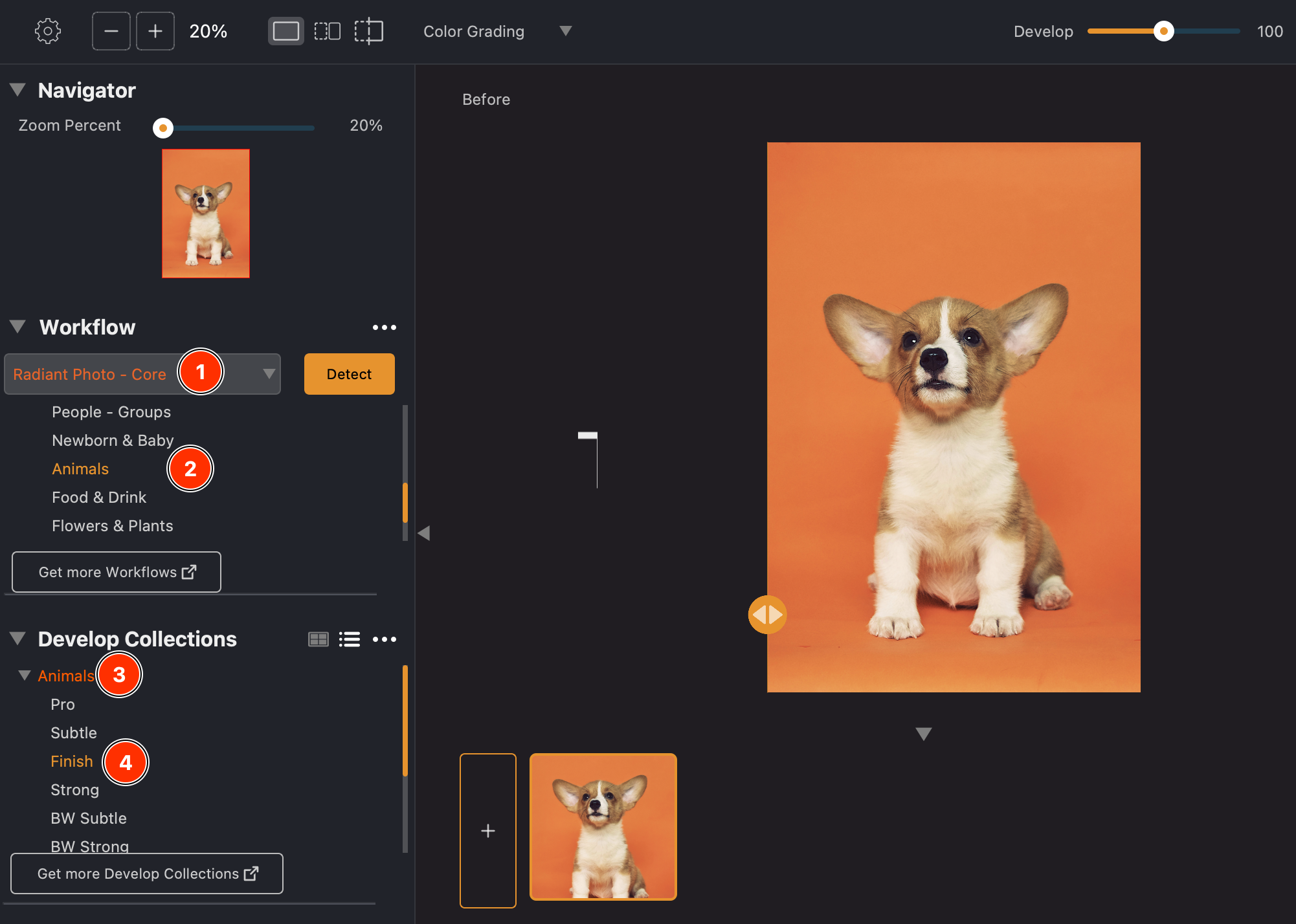 workflow scene dev collection and setting.png